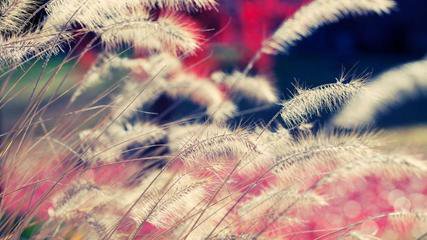 ��(x��)��(sh��)��(sh��)���ۏ��C(j��)�ă�(y��u)ȱ�c(di��n)